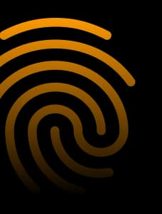 Fingerprint Icon - Landing Page Decoration